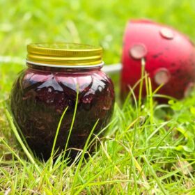 A strawberry shaped jar filled with the dark red sour cherry jam, sitting on the grass. Behind you can see a metal red mushroom.