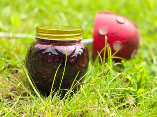A strawberry shaped jar filled with the dark red sour cherry jam, sitting on the grass. Behind you can see a metal red mushroom.